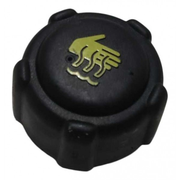 Tampa Reservatorio Agua Renault Duster 1.6 16v 2020