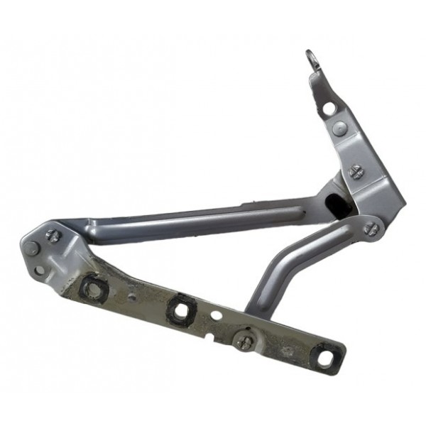 Dobradica Braço Direito Tampa Traseira Focus 09/13 A5383