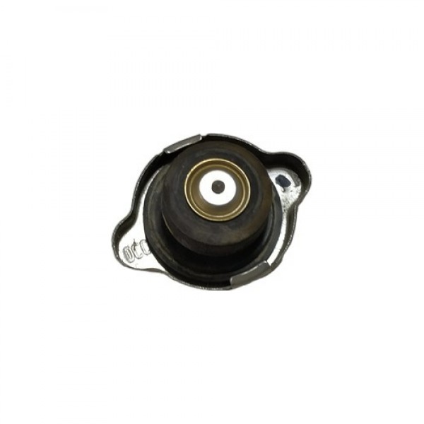 Tampa Radiador Hb20 2016 A2235