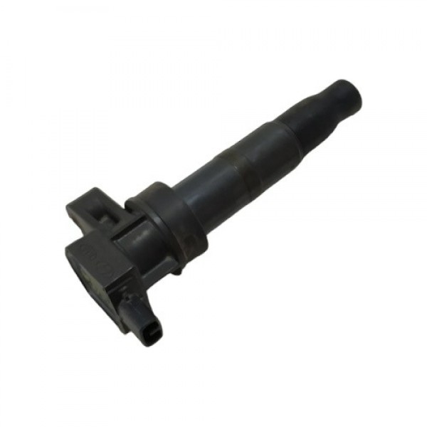 Bobina Ignição Hyundai Santa Fé 2013 A1360