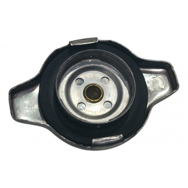 Tampa Radiador Honda Civic G9 12/16 B6084