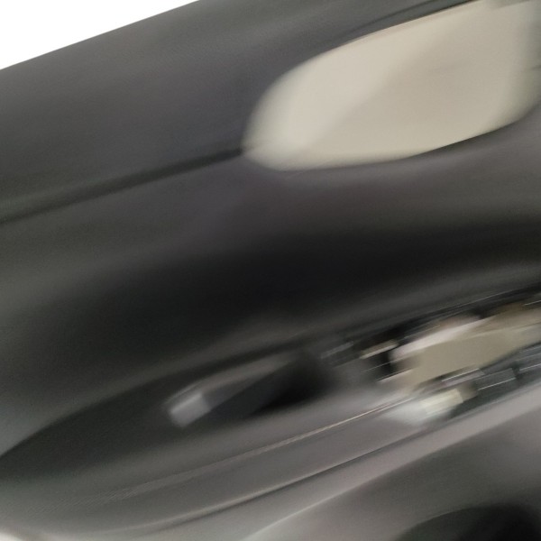 Forro Porta Tras Esquerdo Nissan Sentra 2017 B5559