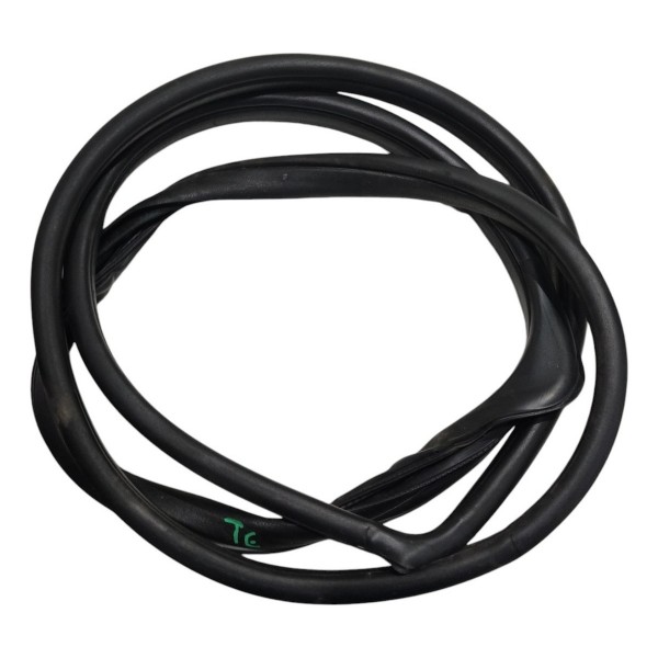 Borracha Porta Traseira Esquerda Honda City 2014 B4930