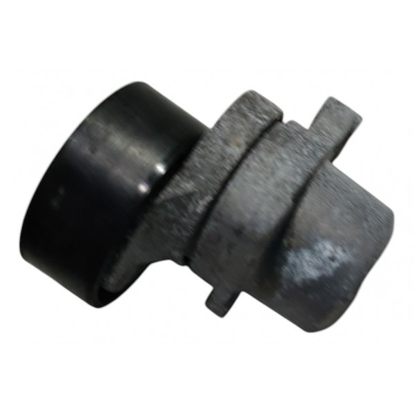 Esticador Correia Peugeot 208 1.6 Aut 2017 B4703