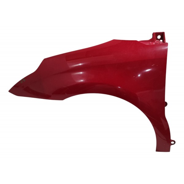 Paralama Esquerdo Citroen C4 Hatch 1.6 2010 B4279