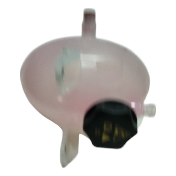 Reservatorio Agua Motor Fiat Strada 2023 1.3 B3029