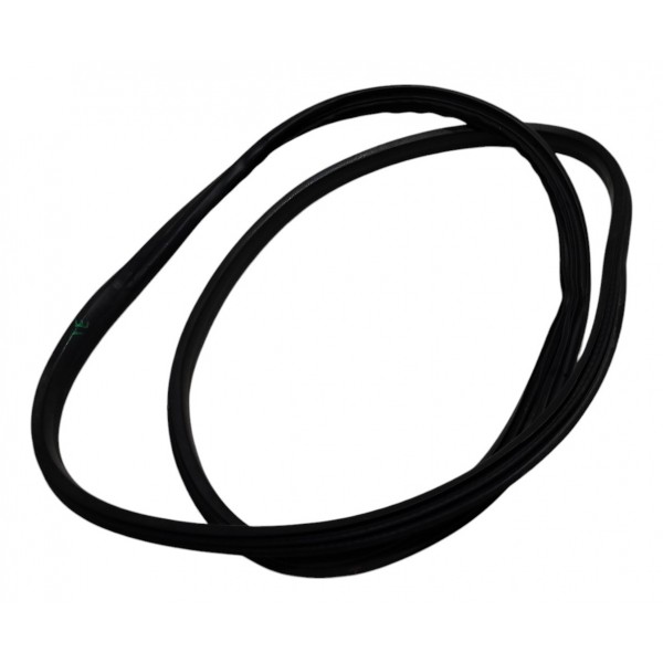 Borracha Porta Tras Esq Renault Fluence 2015 2.0 B2889