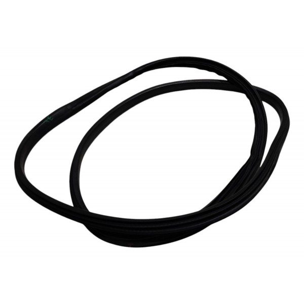 Borracha Porta Tras Esq Renault Fluence 2015 2.0 B2889