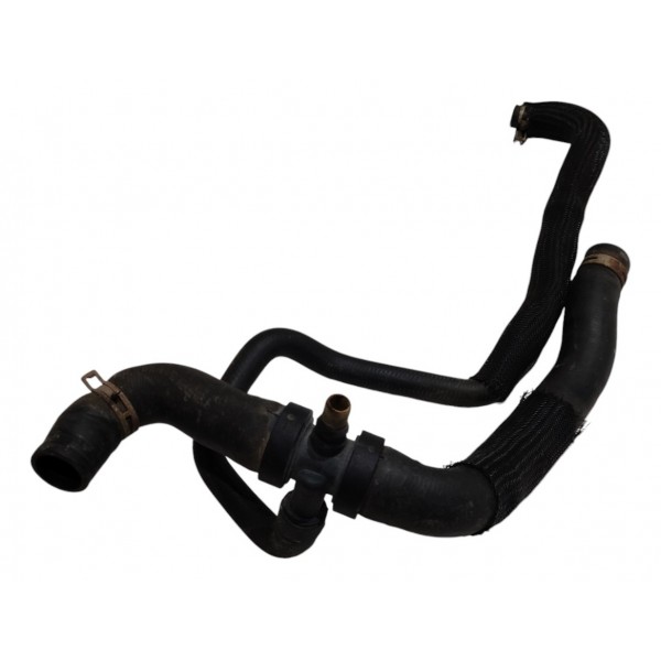 Mangueira Radiador Citroen C4 Pallas 2.0 2011 B2386