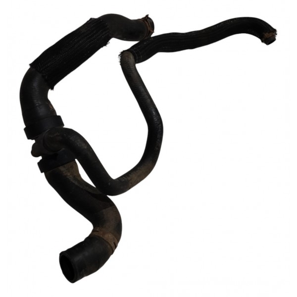 Mangueira Radiador Citroen C4 Pallas 2.0 2011 B2386