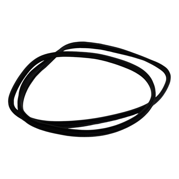 Borracha Porta Tras Dir Gm Onix Plus 1.0 Turbo 2022 B1873