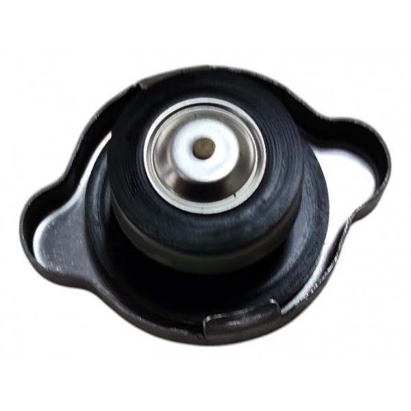 Tampa Radiador Nissan March 1.6 2013 B1592