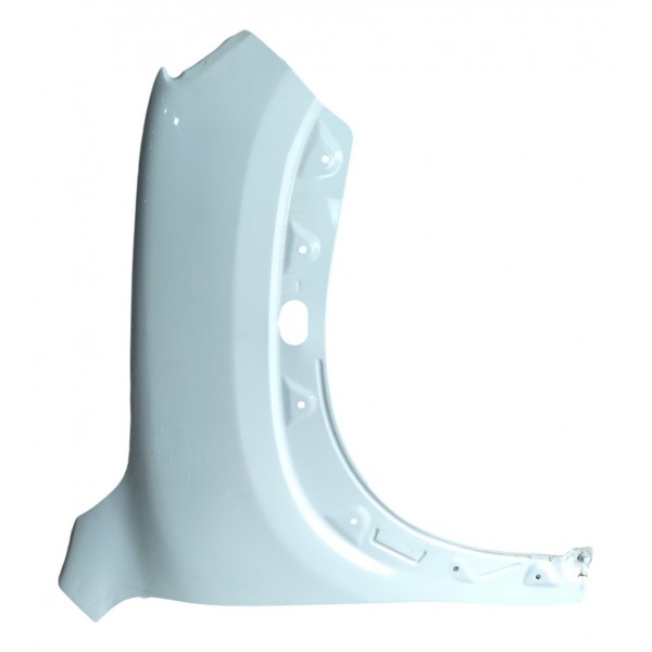 Paralama Direto Renault Kwid 2022 B874