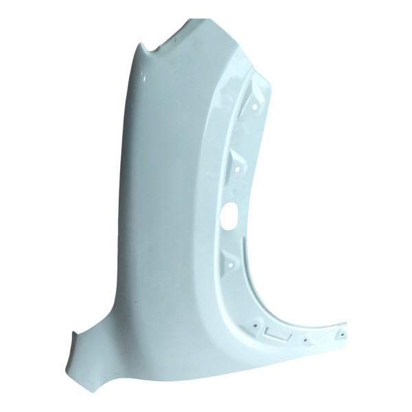 Paralama Direto Renault Kwid 2022 B874