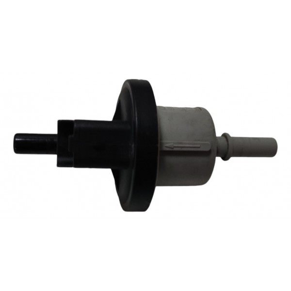 Valvula Canister Renault Kwid 2022 B843