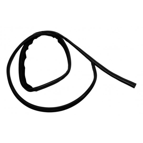 Borracha Carroceria Porta Tras Dir Renault Kwid Zen 2020