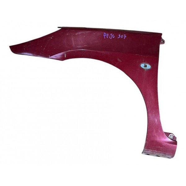 Para-lama D.e Peugeot 307 Ano 07/12 C/detalhe B7648