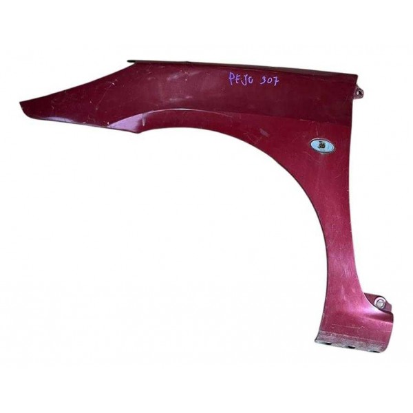 Para-lama D.e Peugeot 307 Ano 07/12 C/detalhe B7648