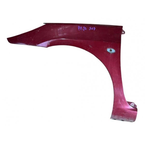 Para-lama D.e Peugeot 307 Ano 07/12 C/detalhe B7648