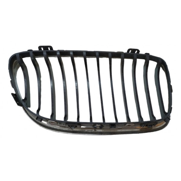 Grade Esq Parachoque Dianteiro Bmw 320 318 316 2010 A9215