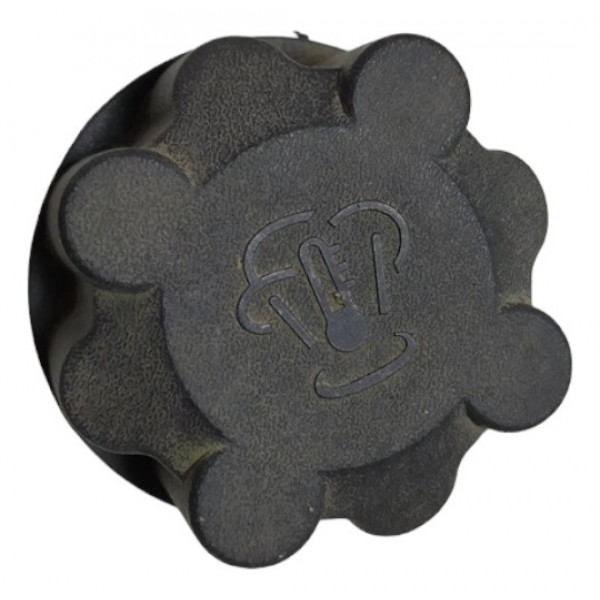 Tampa Reservatorio Agua Peugeot 307 2007 A8887