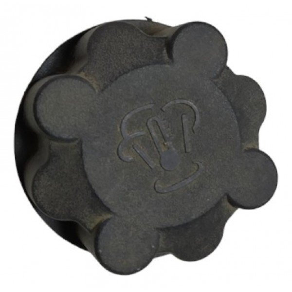 Tampa Reservatorio Agua Peugeot 307 2007 A8887