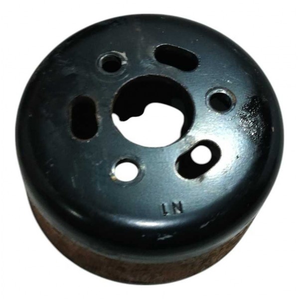 Polia Bomba Agua Motor Renault Duster 1.6 16v 2020